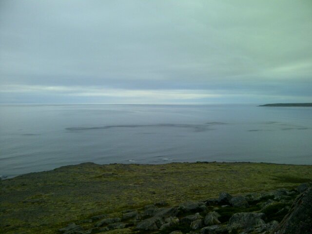 Jason Spingle banner