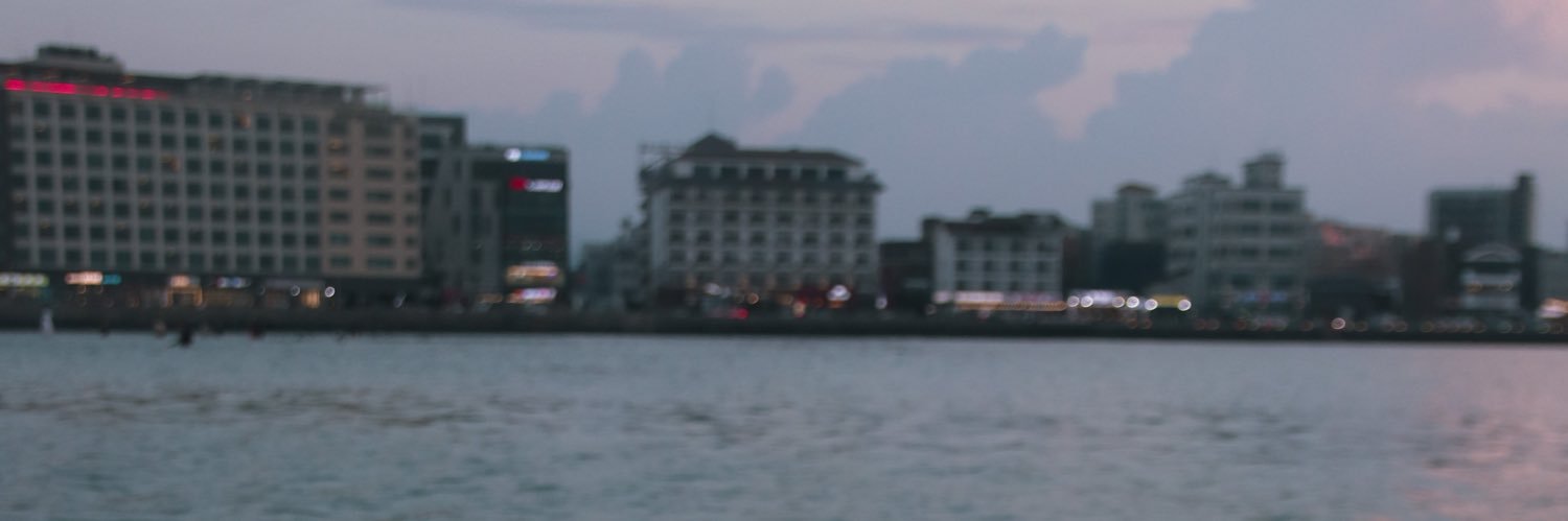 ppolinamea's profile banner image