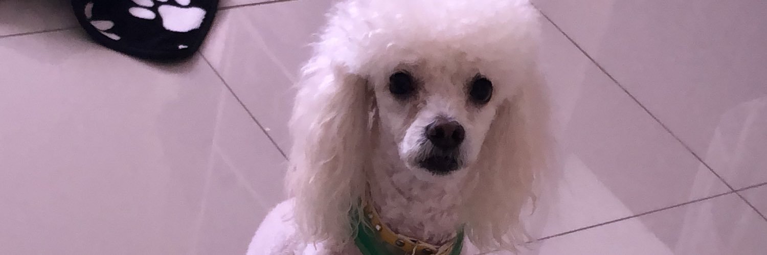maabefranco's profile banner image