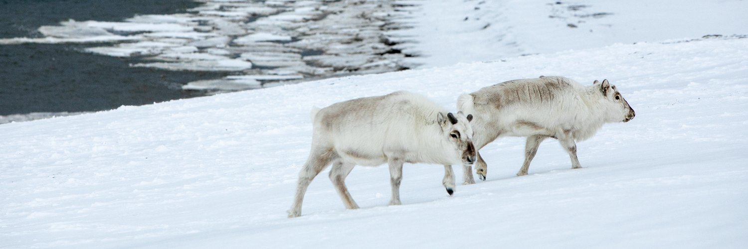 Biodiverse Anthropocenes banner