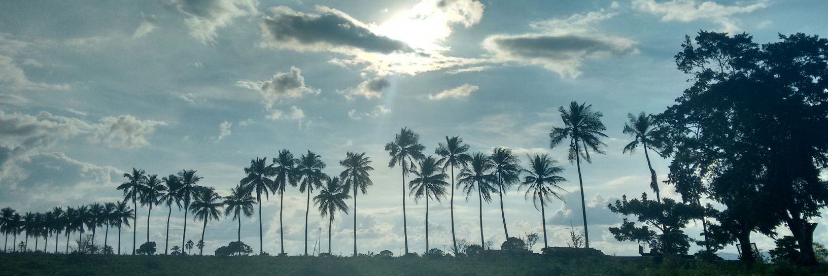 nuviarcia's profile banner image