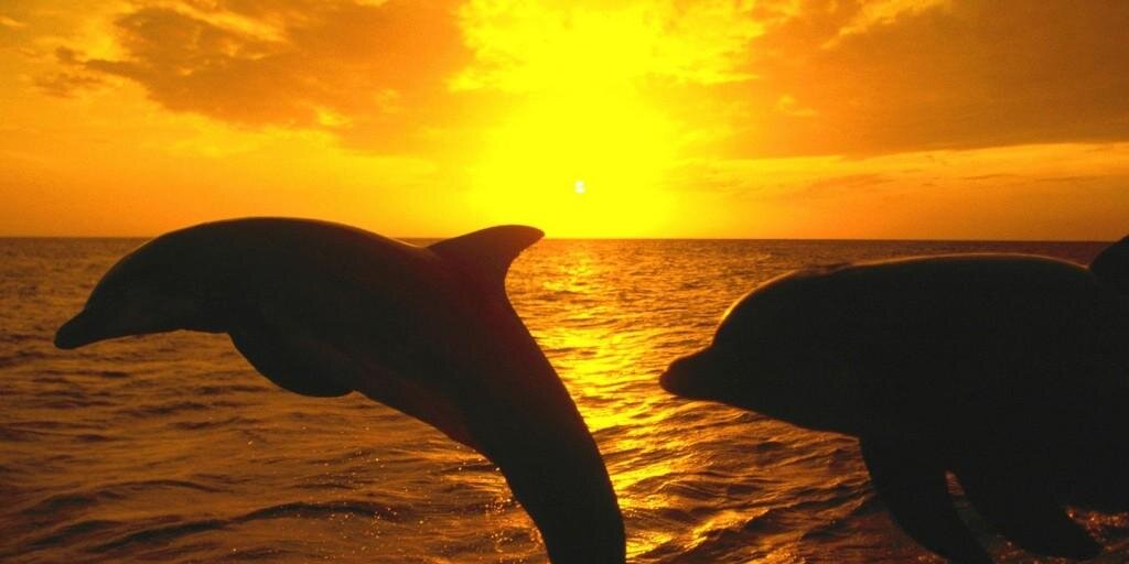 Clara Sánchez banner