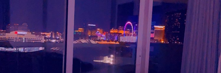 Finessa Williams banner