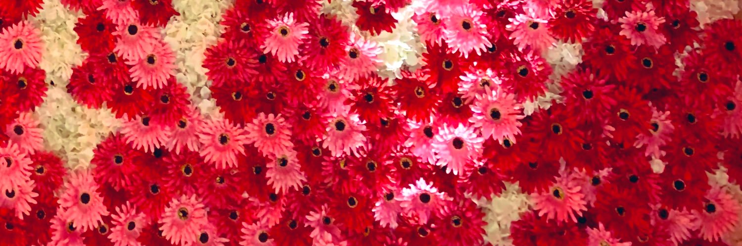 _anakinsky's profile banner image