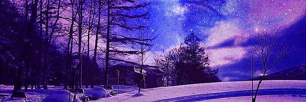 Winter banner