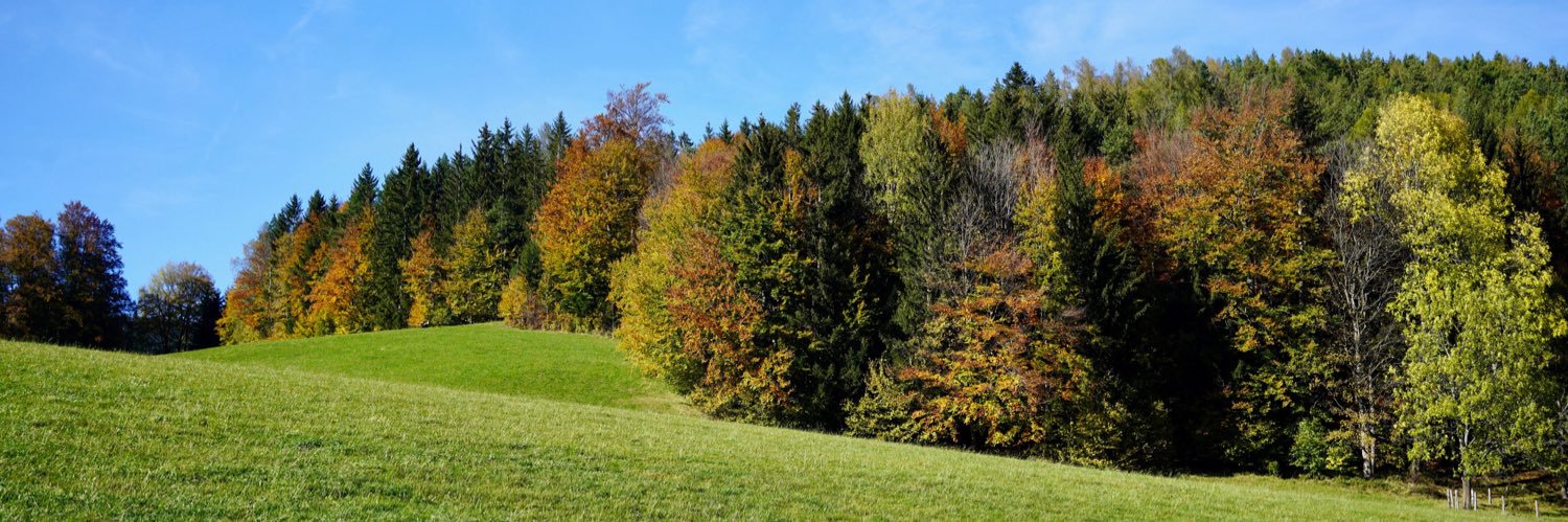 Michael Peneder banner