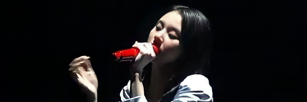 shaki banner