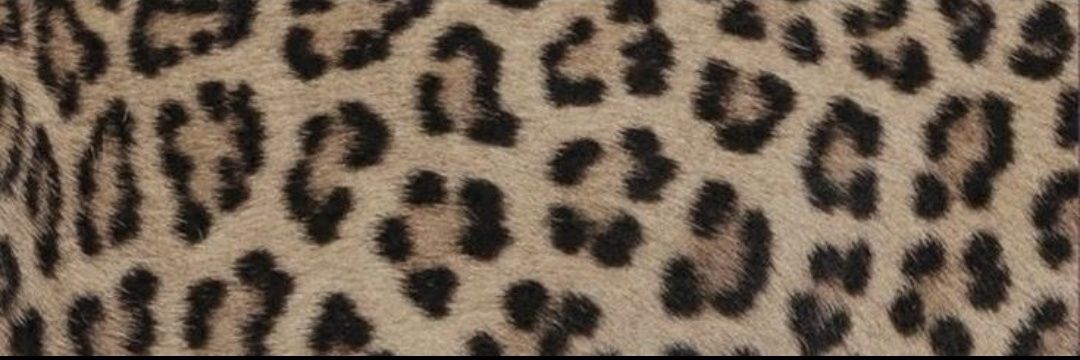 slushed the hell out banner