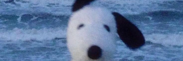 jamiwithoutE's profile banner image