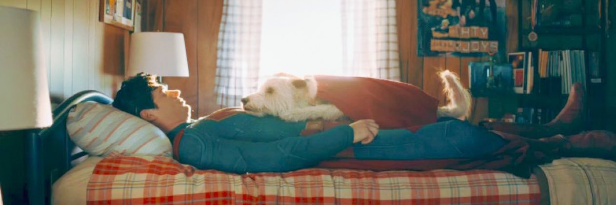 Marc-Antoine Bibiloni banner