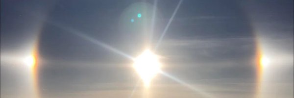 borabot Profile Banner