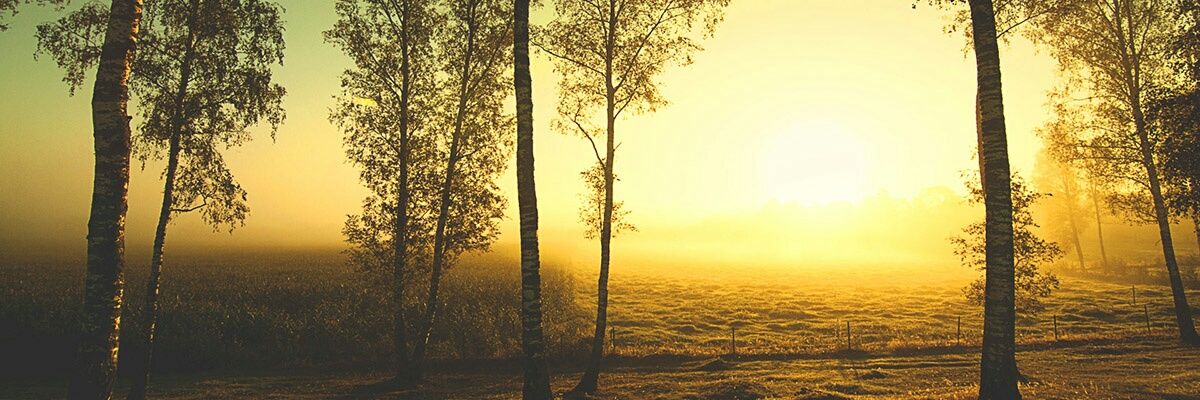 UnPocodeMierda's profile banner image