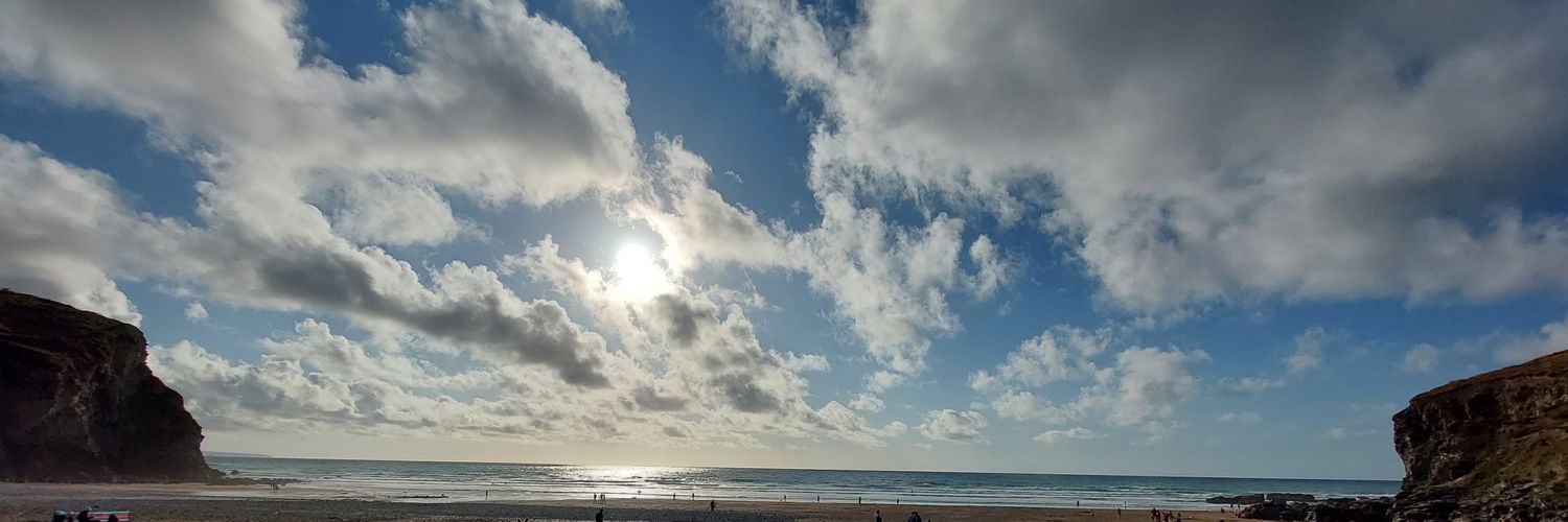 Eastern_Magpie banner