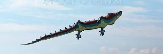 crocodilodorio's profile banner image