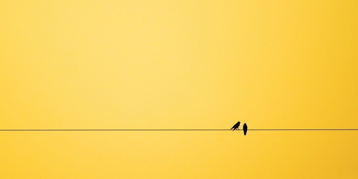 razilya_s's profile banner image
