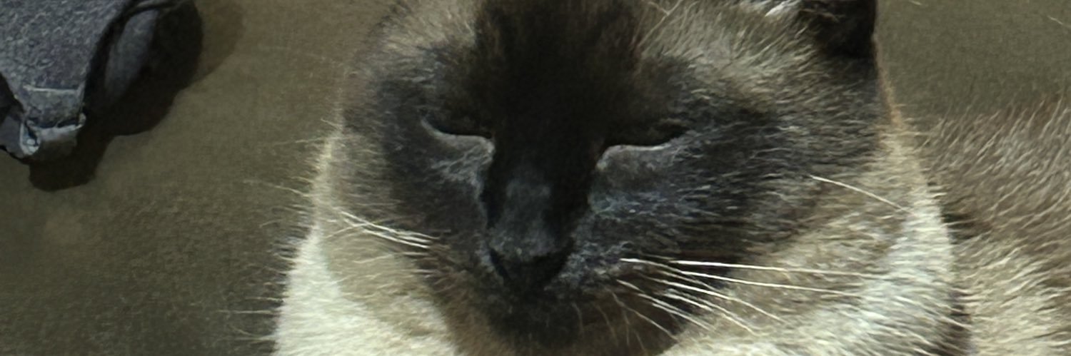 pedrinho mach banner