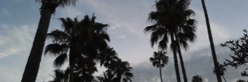 CorrieKaufmann's profile banner image