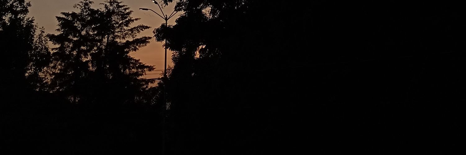 LizbeethLA's profile banner image