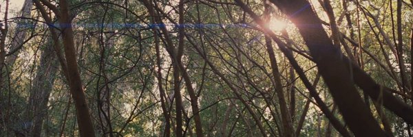 chloehuybens Profile Banner