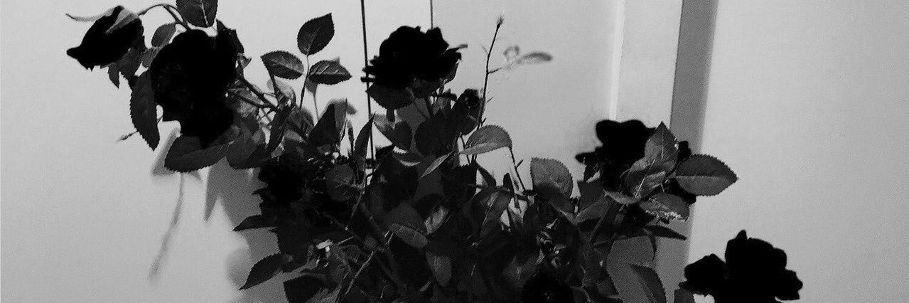 𝕿𝖍𝖊 𝖍𝖊𝖆𝖉 𝖔𝖋 𝖙𝖍𝖊 𝖙𝖊𝖒𝖕𝖊𝖘𝖙 banner