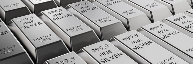 SilverSho banner