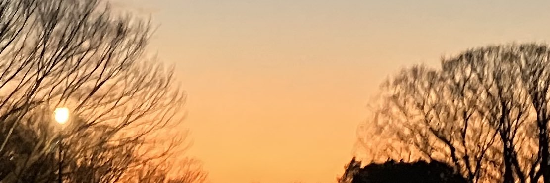 たのしいね banner