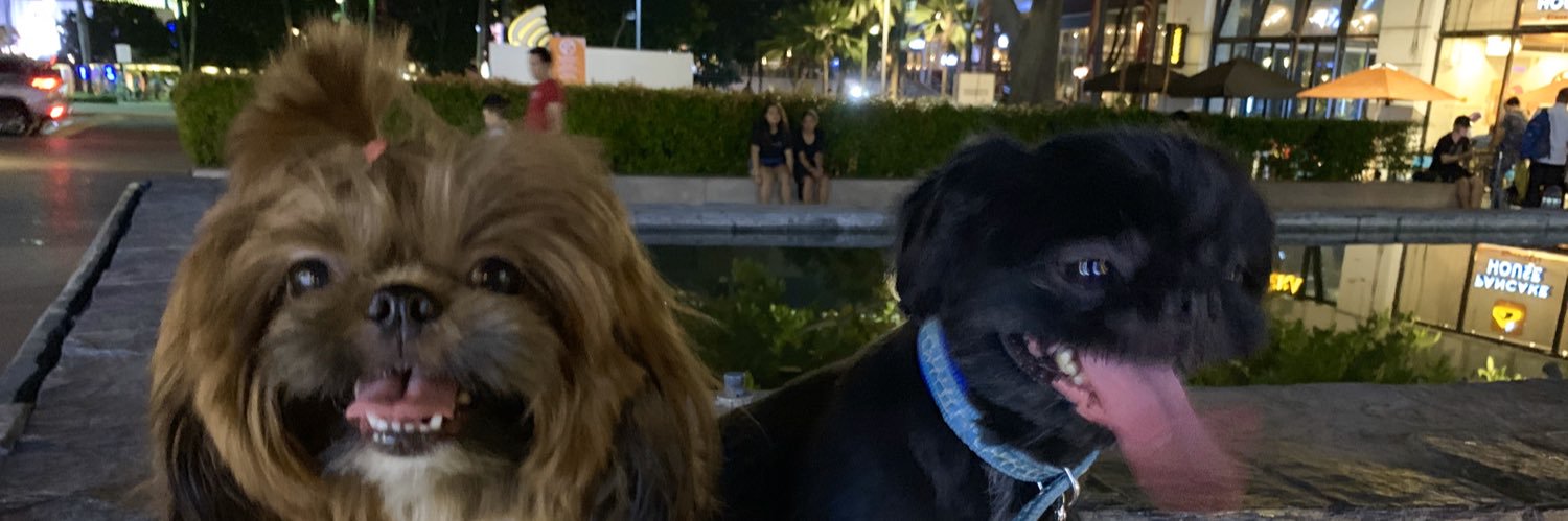 MargieeHuang's profile banner image