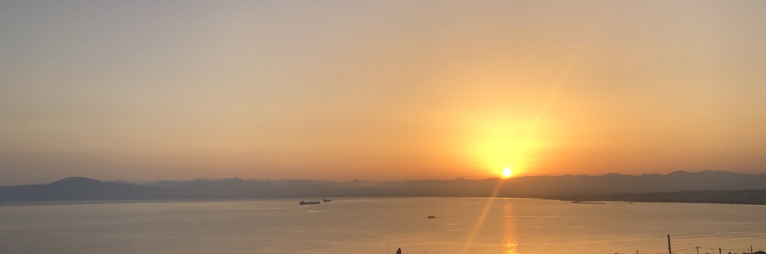 Victor Savevski banner