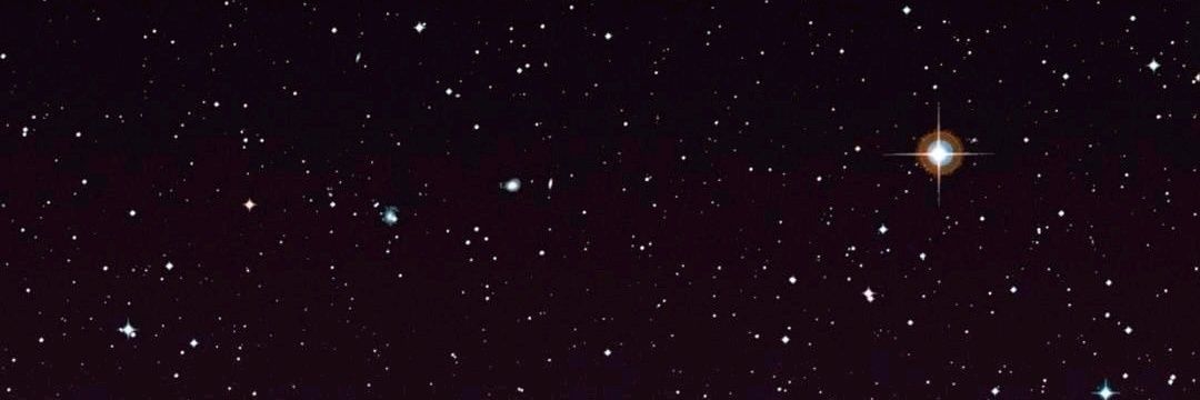 pepe toño banner