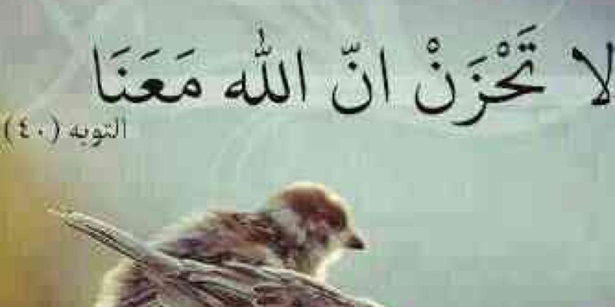 Remmaa1111's profile banner image