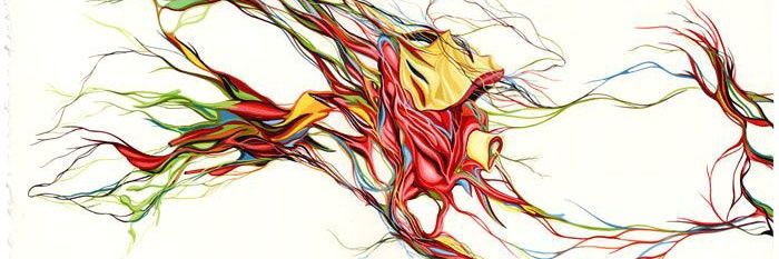 Rant Casey🔞 banner