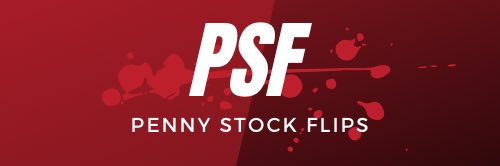 Penny Stock Flips 🚀 banner