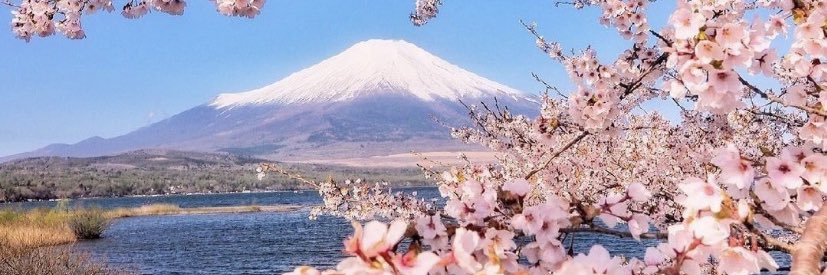 ✨حورية✨ banner