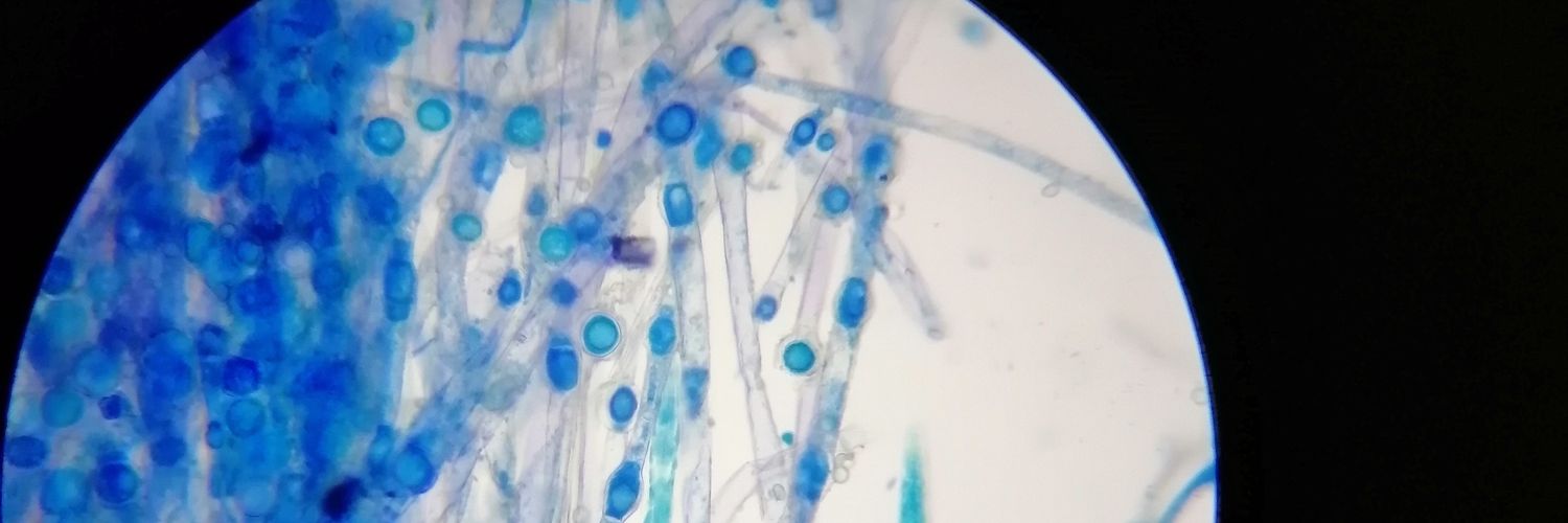 Daniel Garzon-Chavez banner