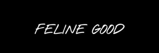 Certian Therapy Page 🚨 banner