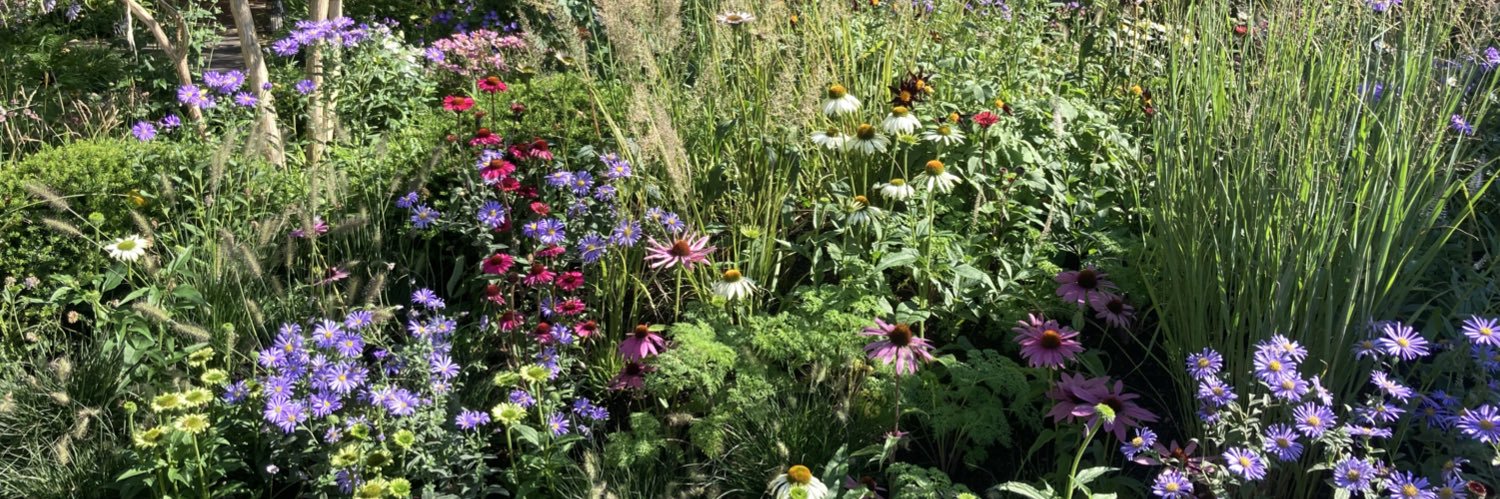 Kitty Hadaway 💙💛 banner