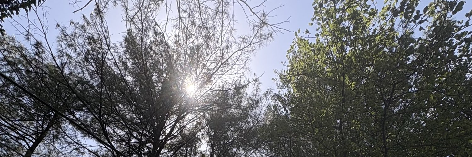 adanizzzle's profile banner image