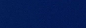 SS banner