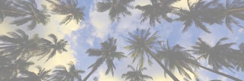 katie banner