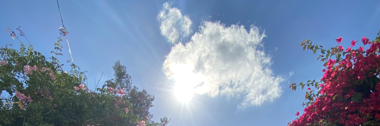 ChapmanCottrell's profile banner image