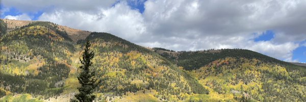 KimStrupp Profile Banner