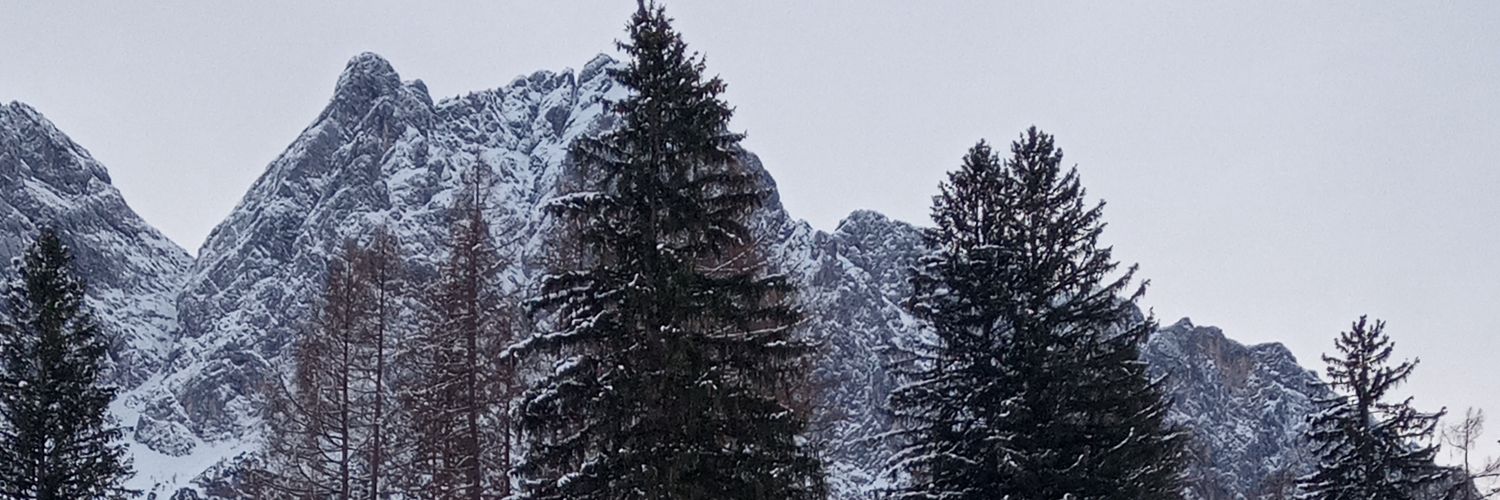 NicholasReinke2's profile banner image