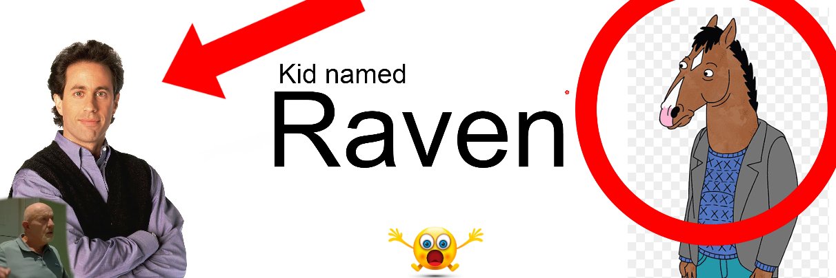 Raven banner