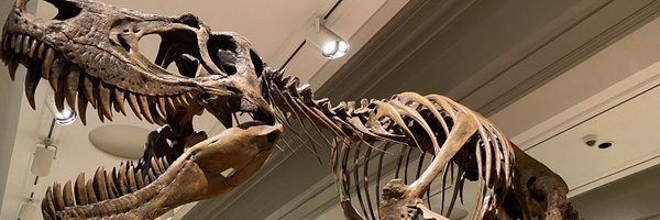 TM9380 Profile Banner