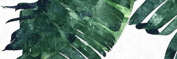 FirstMom banner
