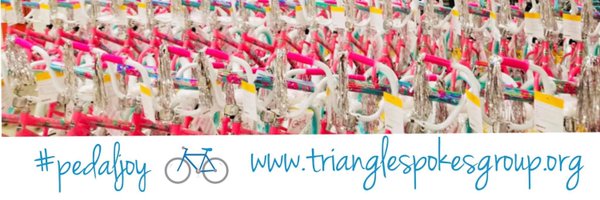 TriangleSpokes Profile Banner