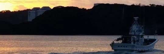 seiwamaru's profile banner image
