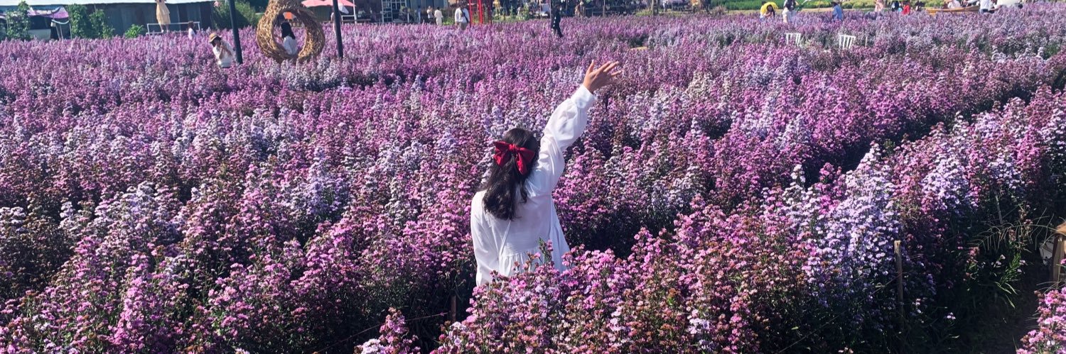 /ᐠᵕ ⱉ ᵕᐟ\ﾉ ²⁶ ꔣ banner