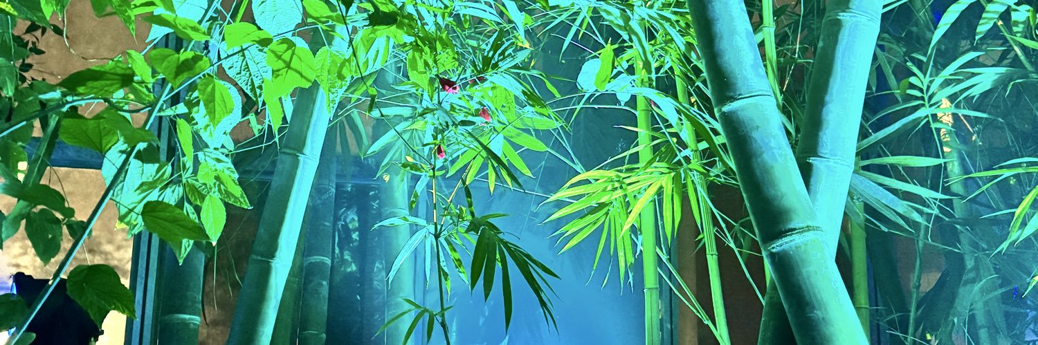 revon_1003's profile banner image