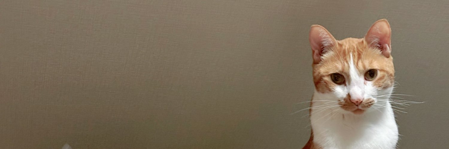 mai2014's profile banner image